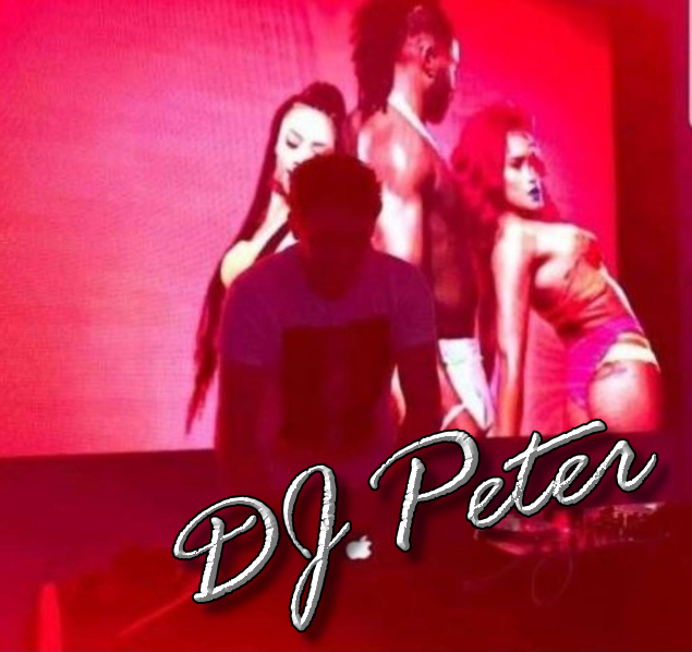 Bild von der Webseite von DJ Peter Schneider